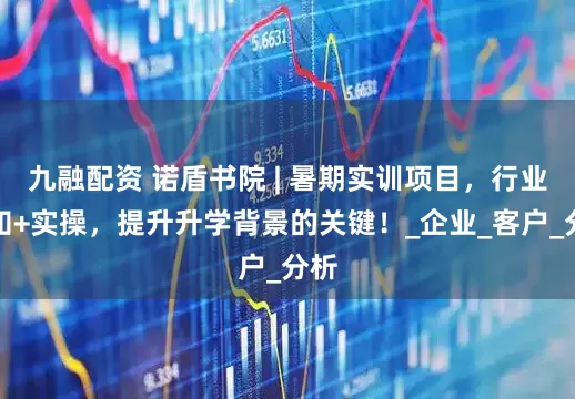 九融配资 诺盾书院 | 暑期实训项目，行业认知+实操，提升升学背景的关键！_企业_客户_分析