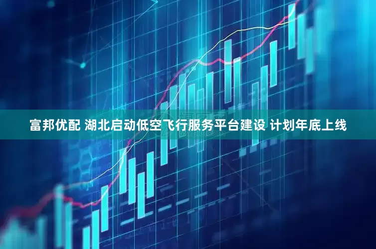 富邦优配 湖北启动低空飞行服务平台建设 计划年底上线