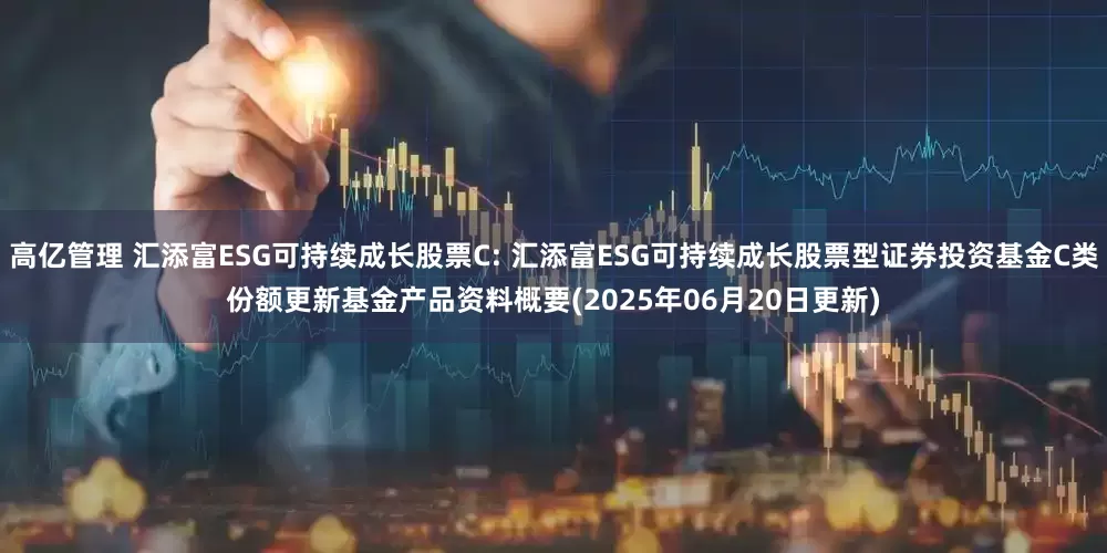 高亿管理 汇添富ESG可持续成长股票C: 汇添富ESG可持续成长股票型证券投资基金C类份额更新基金产品资料概要(2025年06月20日更新)