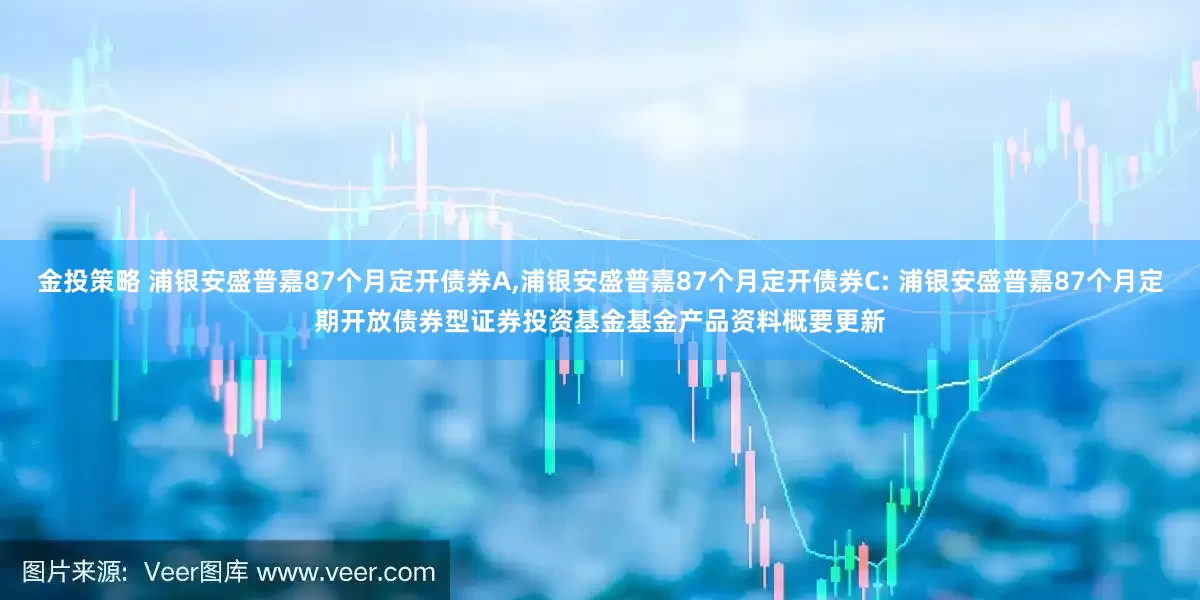金投策略 浦银安盛普嘉87个月定开债券A,浦银安盛普嘉87个月定开债券C: 浦银安盛普嘉87个月定期开放债券型证券投资基金基金产品资料概要更新