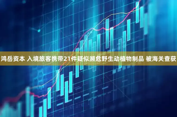 鸿岳资本 入境旅客携带21件疑似濒危野生动植物制品 被海关查获