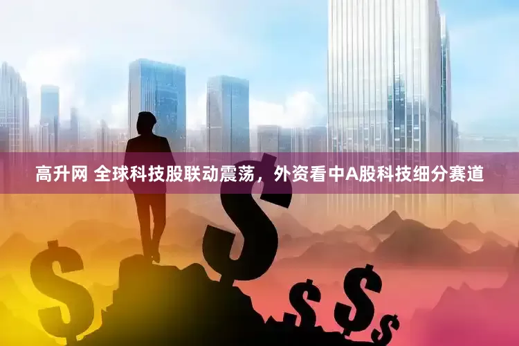 高升网 全球科技股联动震荡，外资看中A股科技细分赛道